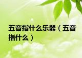 五音指什么乐器（五音指什么）