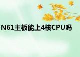 N61主板能上4核CPU吗