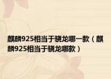 麒麟925相当于骁龙哪一款（麒麟925相当于骁龙哪款）