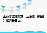 王菲冰激凌歌词（王菲的《冷战》歌词是什么）