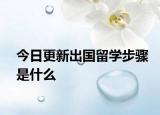 今日更新出国留学步骤是什么