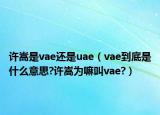 许嵩是vae还是uae（vae到底是什么意思?许嵩为嘛叫vae?）