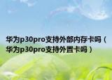 华为p30pro支持外部内存卡吗（华为p30pro支持外置卡吗）