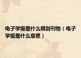 电子学报是什么级别刊物（电子学报是什么意思）