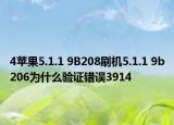 4苹果5.1.1 9B208刷机5.1.1 9b206为什么验证错误3914