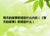 春天的故事歌词是什么内容（《春天的故事》歌词是什么）