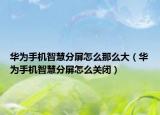 华为手机智慧分屏怎么那么大（华为手机智慧分屏怎么关闭）