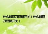 什么叫双刀双掷开关（什么叫双刀双掷开关）
