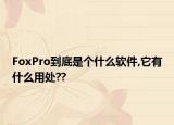 FoxPro到底是个什么软件,它有什么用处??