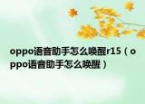 oppo语音助手怎么唤醒r15（oppo语音助手怎么唤醒）