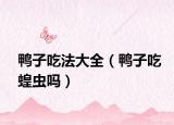 鸭子吃法大全（鸭子吃蝗虫吗）