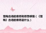 雪梅古诗的意思和思想感情（《雪梅》古诗的意思是什么）