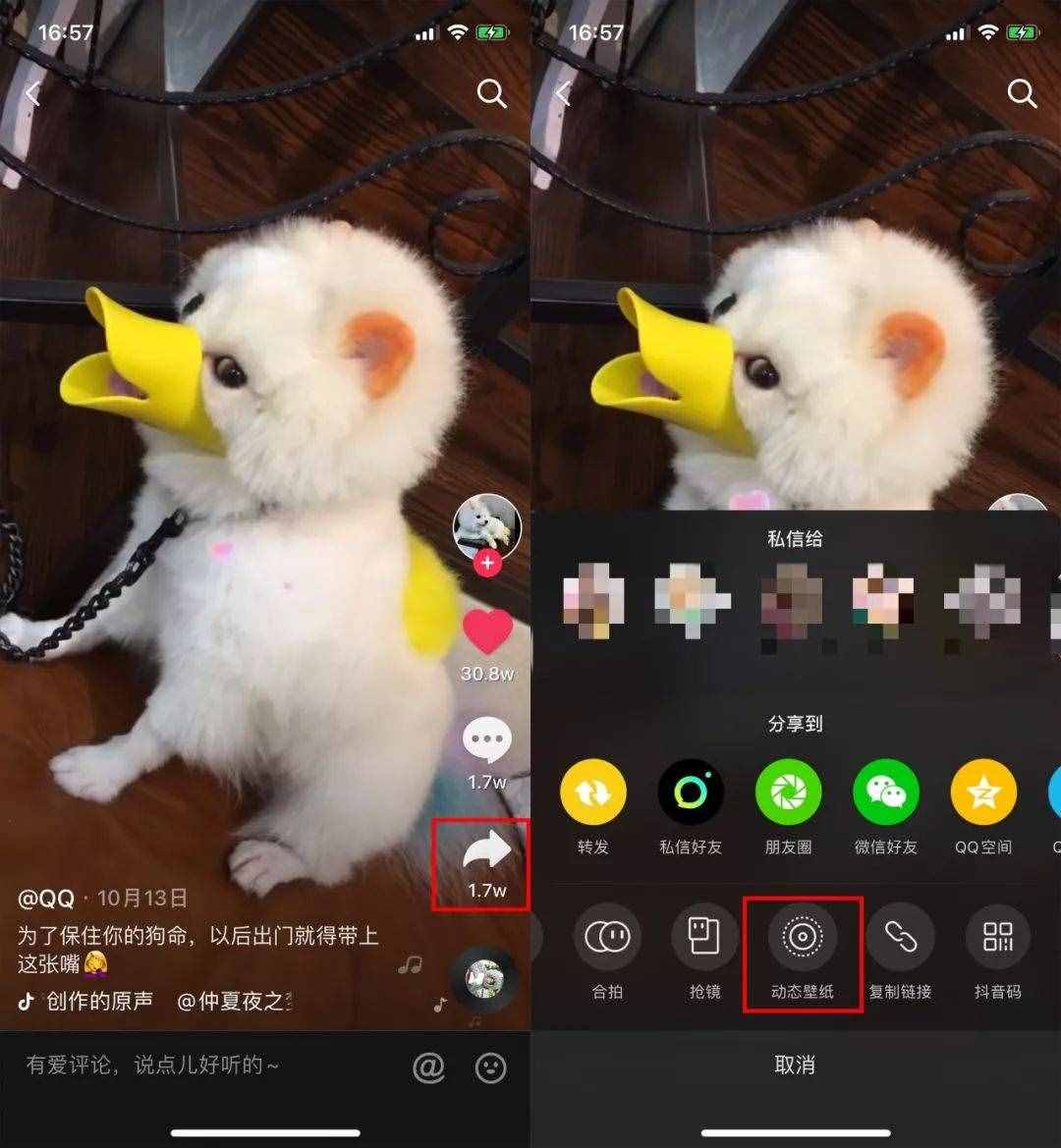 用了这么久苹果手机，才知道还可以这样设置动态壁纸，涨知识了