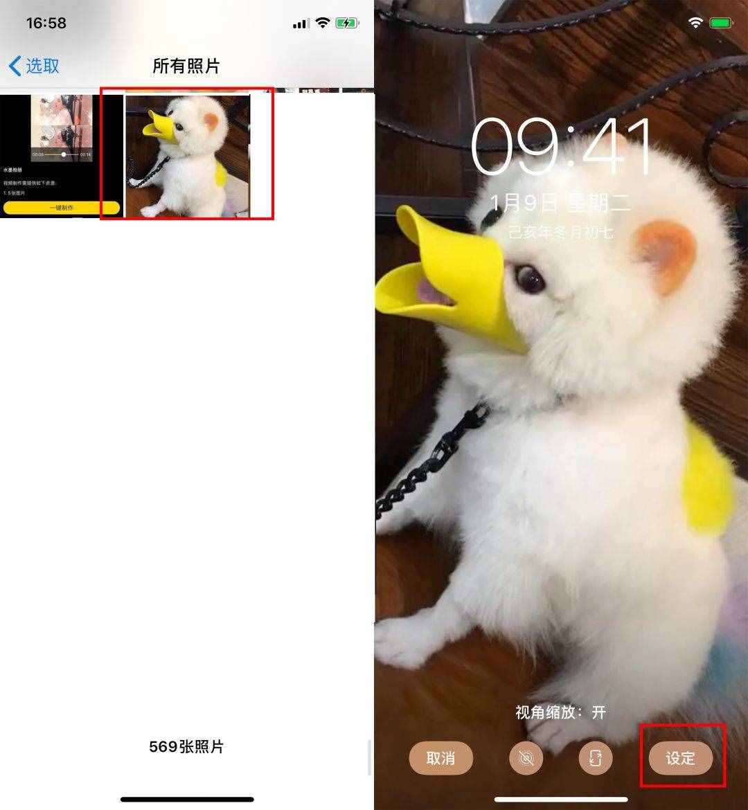 用了这么久苹果手机，才知道还可以这样设置动态壁纸，涨知识了