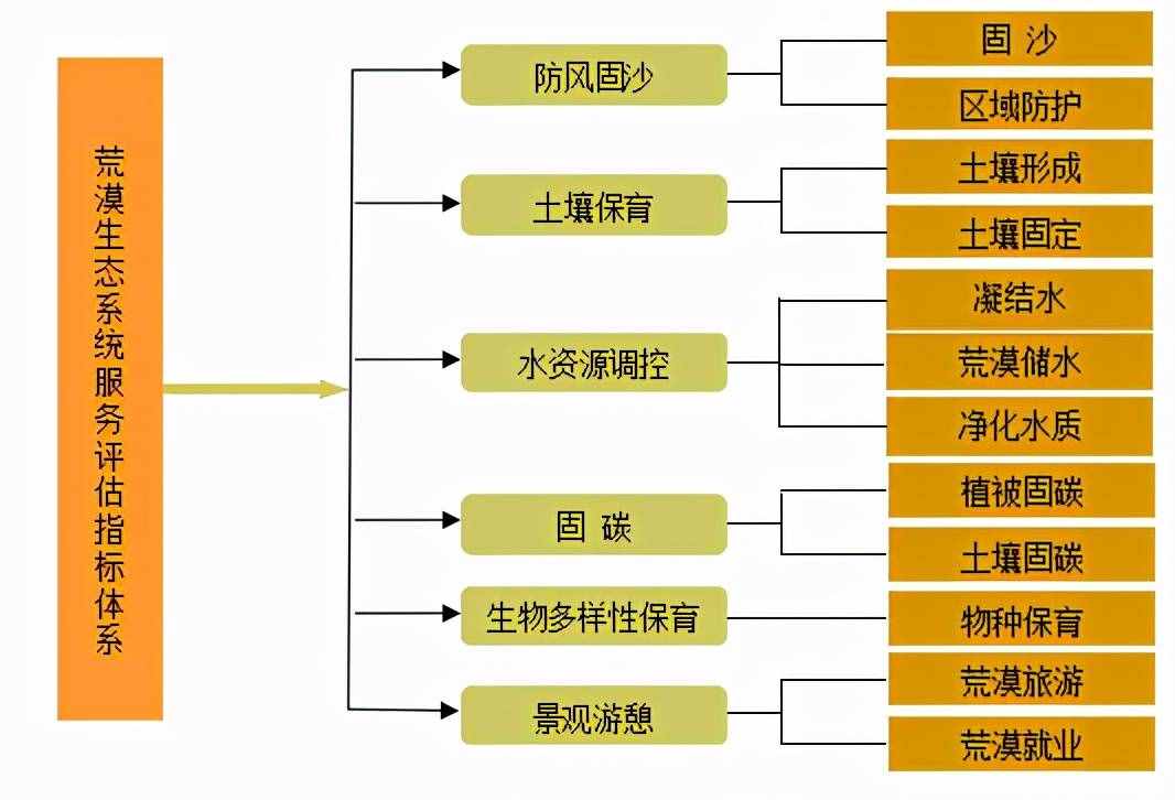 为什么荒漠化需要治理，荒漠却需要保护？