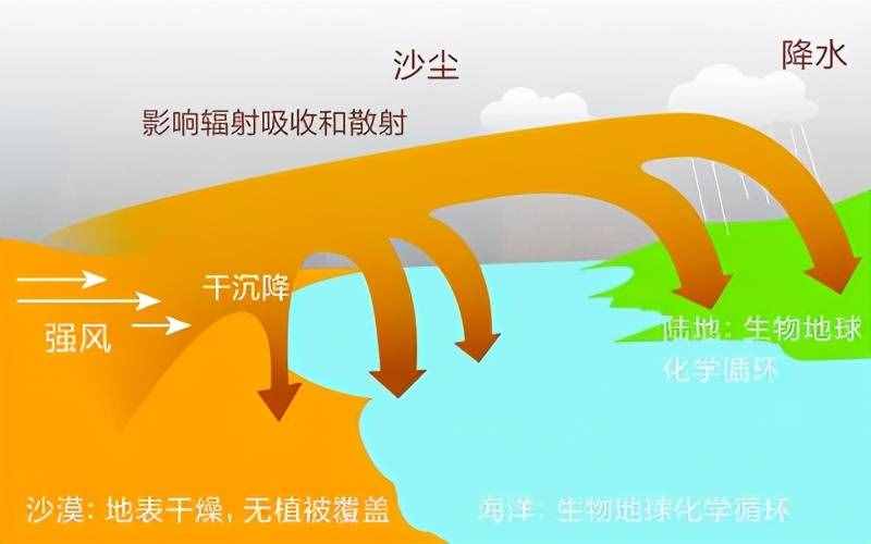 为什么荒漠化需要治理，荒漠却需要保护？