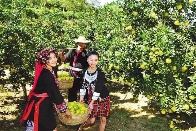 海南19个市县226个旅游景点大全，假期上哪里玩？随你挑