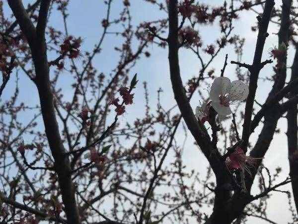 长安大学：一所最不应该被误解的实力大学