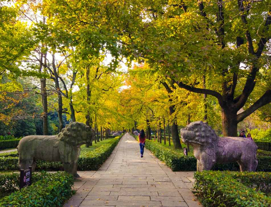 南京为什么被称为“金陵”,其来源何处?