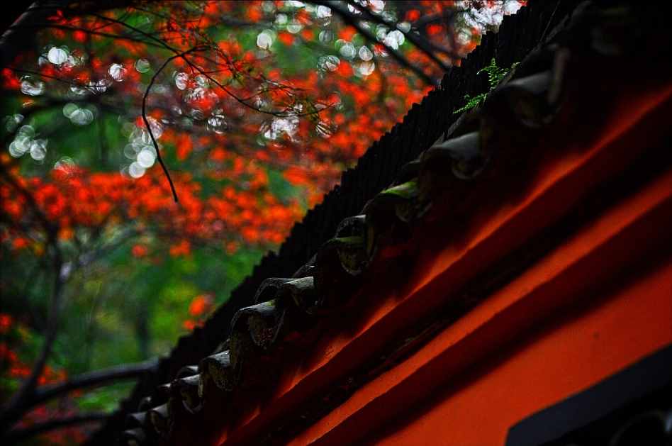 南京为什么被称为“金陵”,其来源何处?