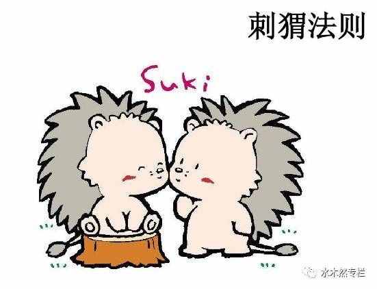 这就是“刺猬法则”！很多人竟还不知道！