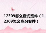 12309怎么查询案件（12309怎么查询案件）