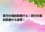 蔚为壮观的蔚是什么（蔚为壮观的蔚是什么意思）