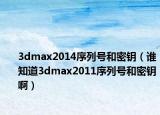 3dmax2014序列号和密钥（谁知道3dmax2011序列号和密钥啊）