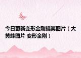 今日更新变形金刚搞笑图片（大黄蜂图片 变形金刚）