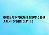 春城无处不飞花是什么意思（春城无处不飞花是什么节日）