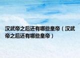 汉武帝之后还有哪些皇帝（汉武帝之后还有哪些皇帝）