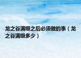 龙之谷满级之后必须做的事（龙之谷满级多少）