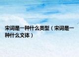 宋词是一种什么类型（宋词是一种什么文体）