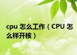 cpu 怎么工作（CPU 怎么样开核）