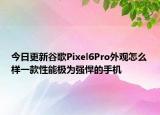 今日更新谷歌Pixel6Pro外观怎么样一款性能极为强悍的手机