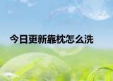 今日更新靠枕怎么洗
