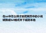 在uc中怎么样才能把网页中的小说转换成txt格式并下载到本地