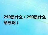 290是什么（290是什么意思啊）