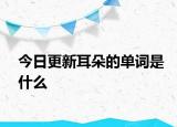 今日更新耳朵的单词是什么
