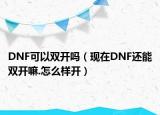 DNF可以双开吗（现在DNF还能双开嘛.怎么样开）