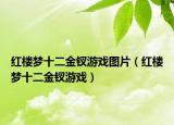 红楼梦十二金钗游戏图片（红楼梦十二金钗游戏）