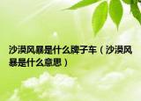 沙漠风暴是什么牌子车（沙漠风暴是什么意思）