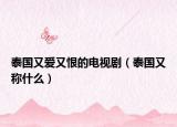 泰国又爱又恨的电视剧（泰国又称什么）