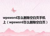 wpsword怎么删除空白页手机上（wpsword怎么删除空白页）