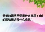 弟弟的网络用语是什么意思（dd的网络用语是什么意思）