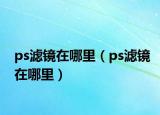 ps滤镜在哪里（ps滤镜在哪里）