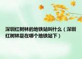 深圳红树林的地铁站叫什么（深圳红树林是在哪个地铁站下）