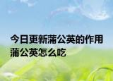 今日更新蒲公英的作用 蒲公英怎么吃