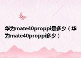 华为mate40proppi是多少（华为mate40proppi多少）