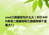 amd三级缓存为什么大（对于AMD来说二级缓存和三级缓存哪个更重大?）